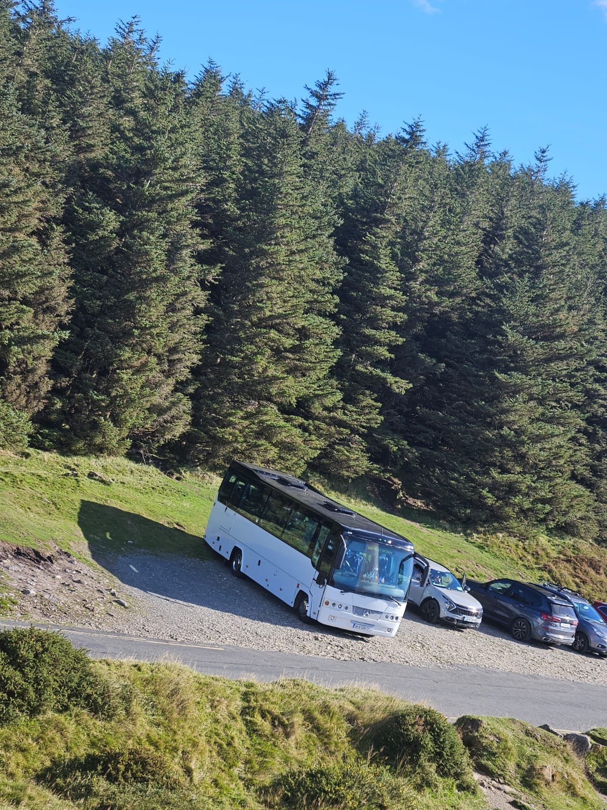 Mercedes in Wicklow forest
