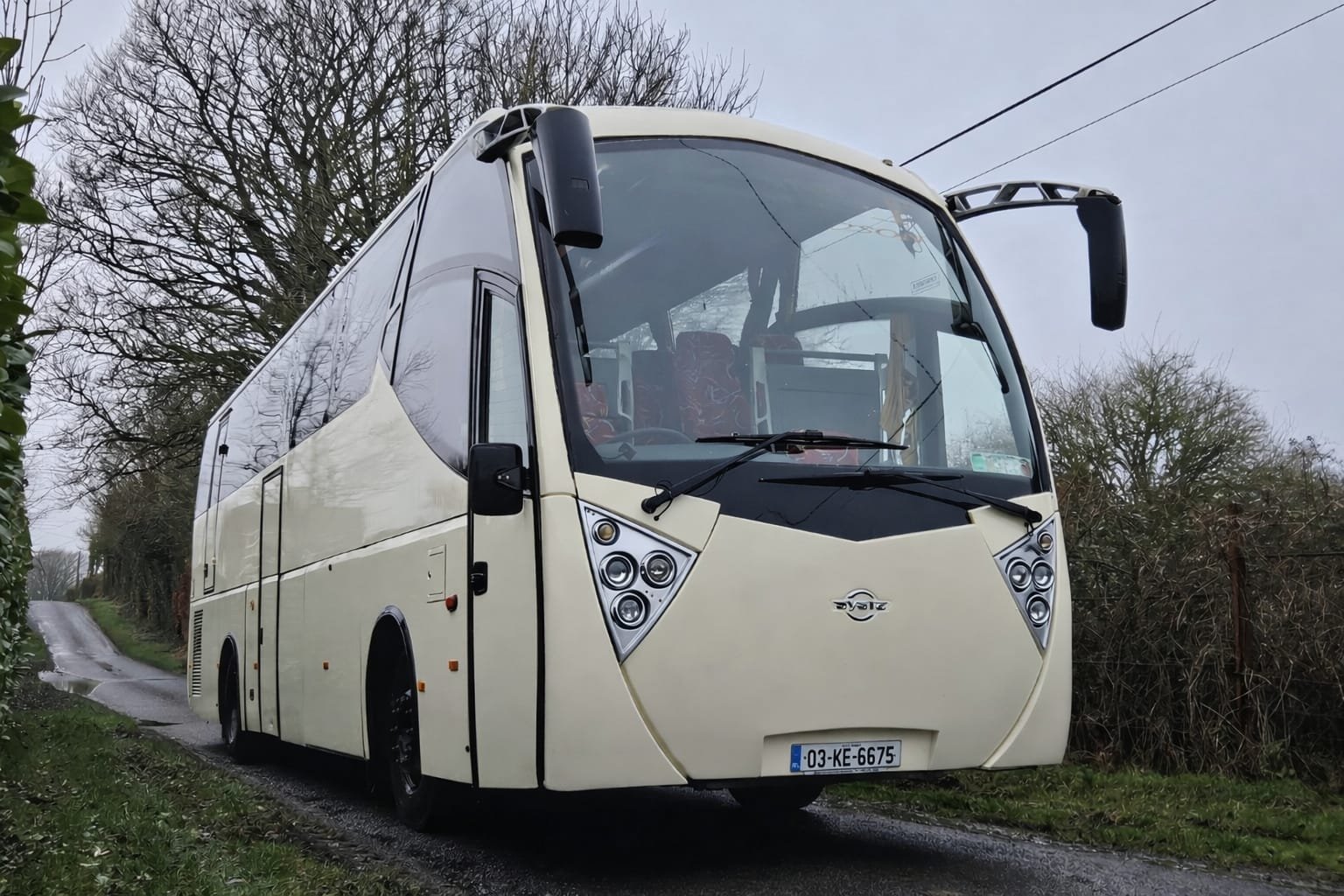 Paynes modern cream Syste coach