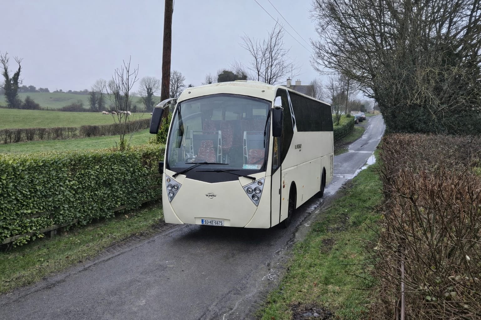 Modern Syste coach on Irish country lane front view
